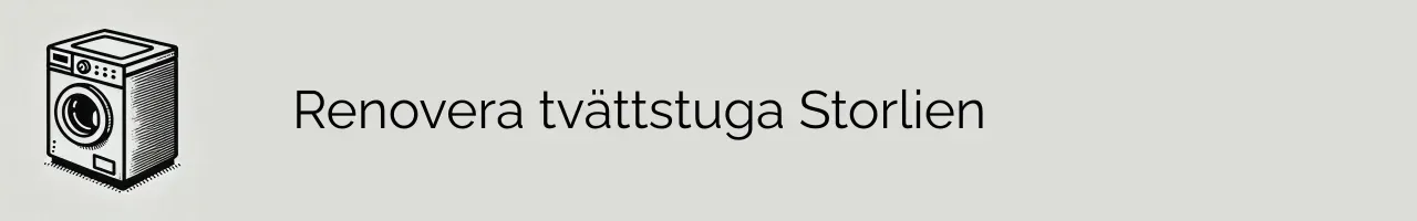 Renovera tvättstuga Storlien